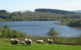 Moybrone Flat